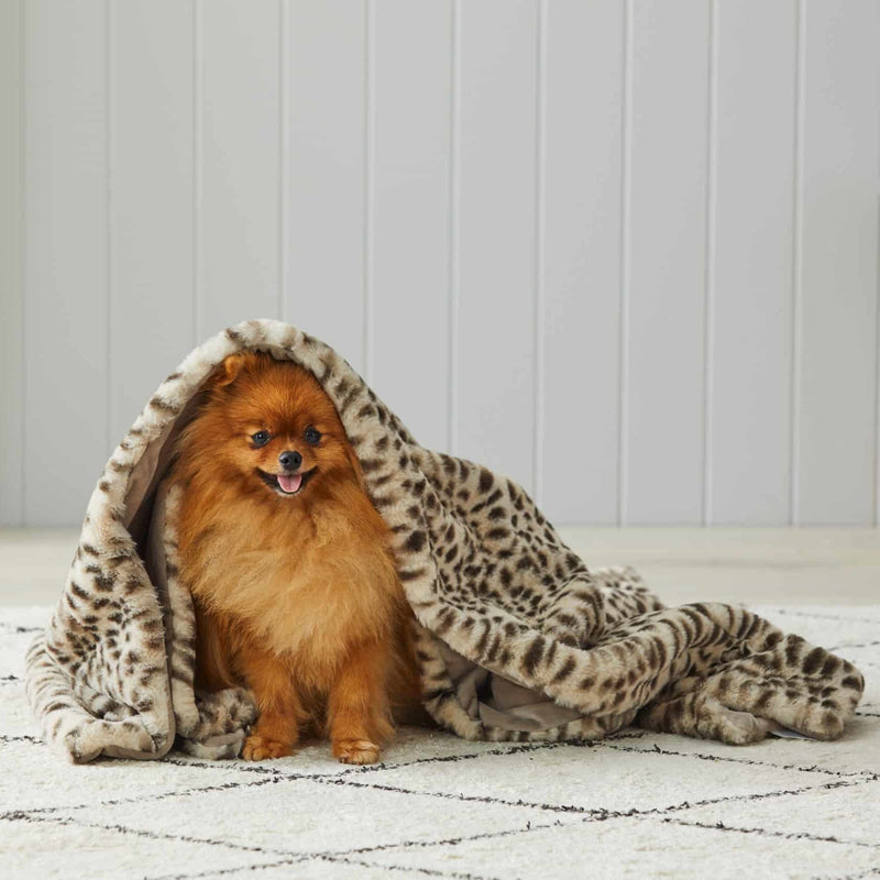 Pilbeam - Throw Rug - Animal Print Faux Fur